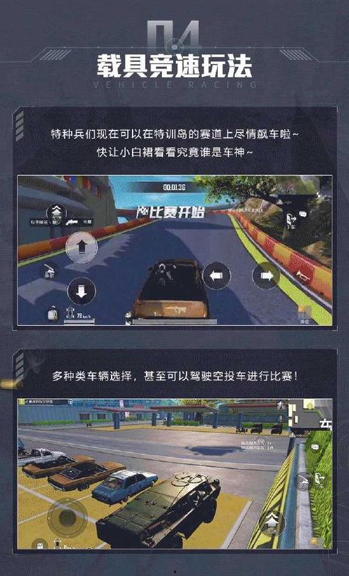 精英二代最新爆料,家族传承背后的真实故事